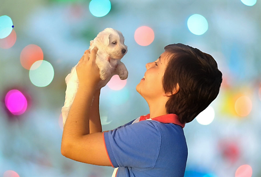 20150630_205509_22_-removebg-preview